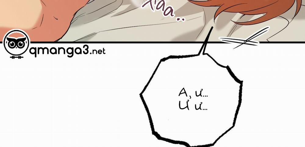 Đàn Thỏ Của Habibi 54 trang 185