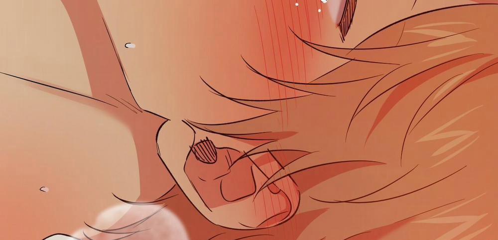 Đàn Thỏ Của Habibi 54 trang 196