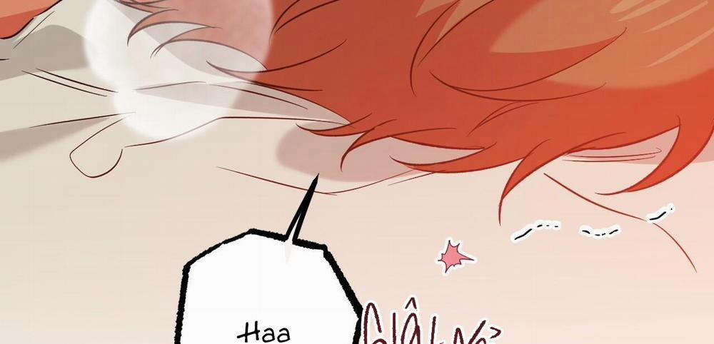 Đàn Thỏ Của Habibi 54 trang 197