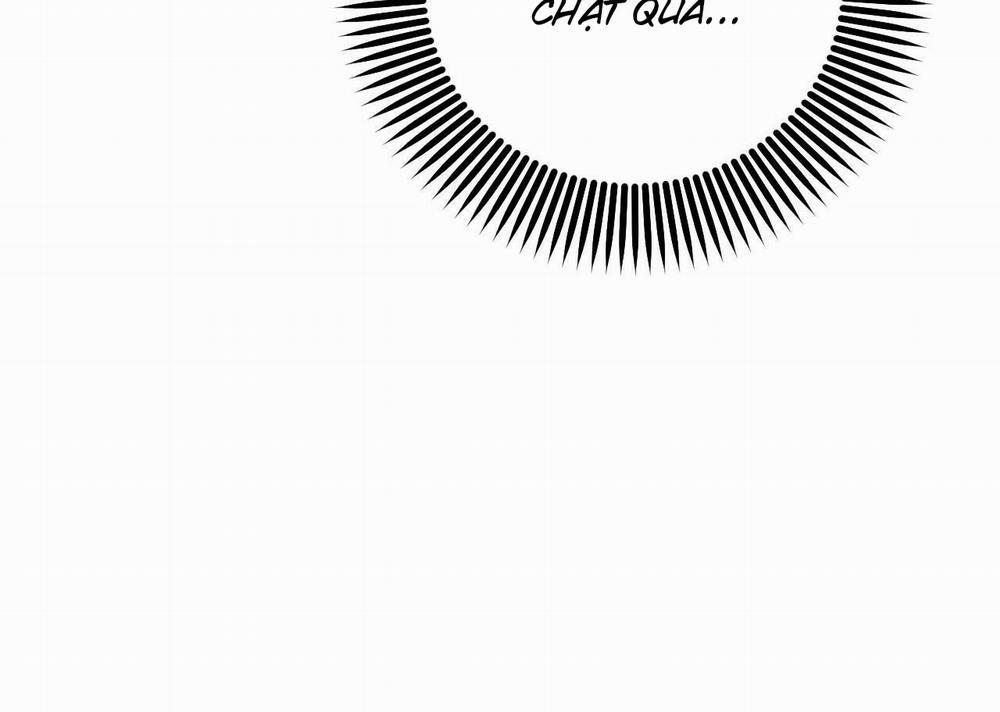 Đàn Thỏ Của Habibi 54 trang 206