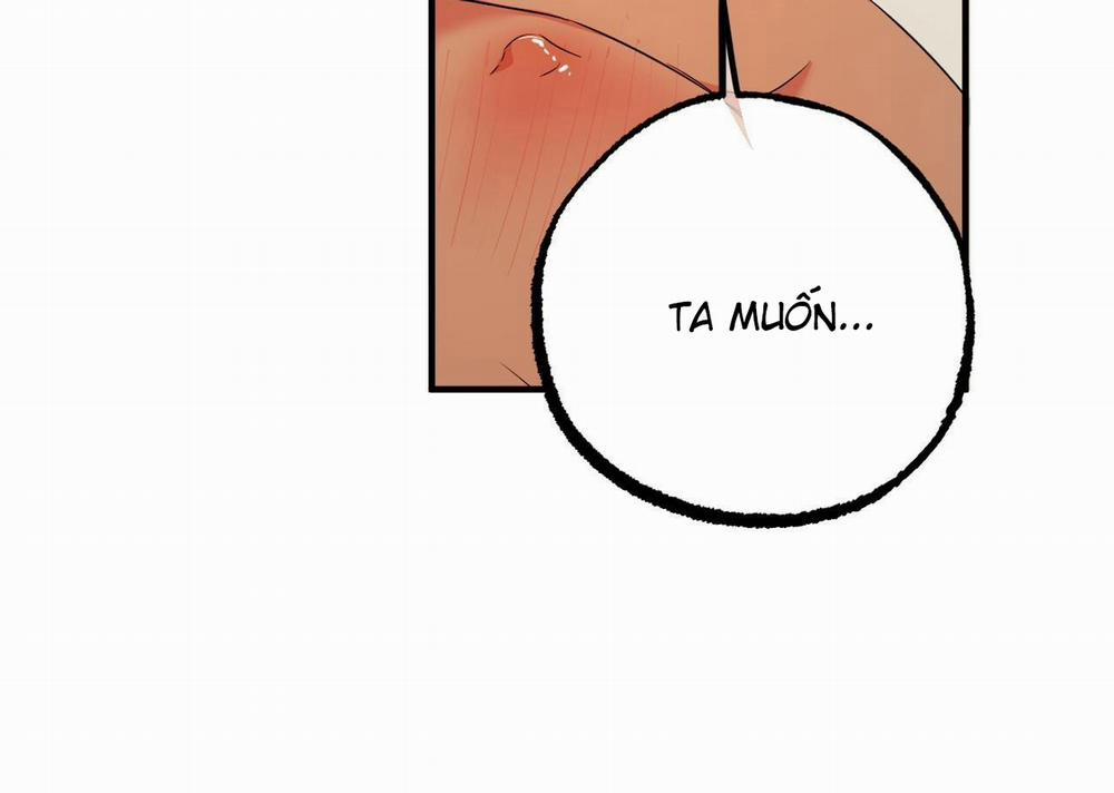 Đàn Thỏ Của Habibi 54 trang 212