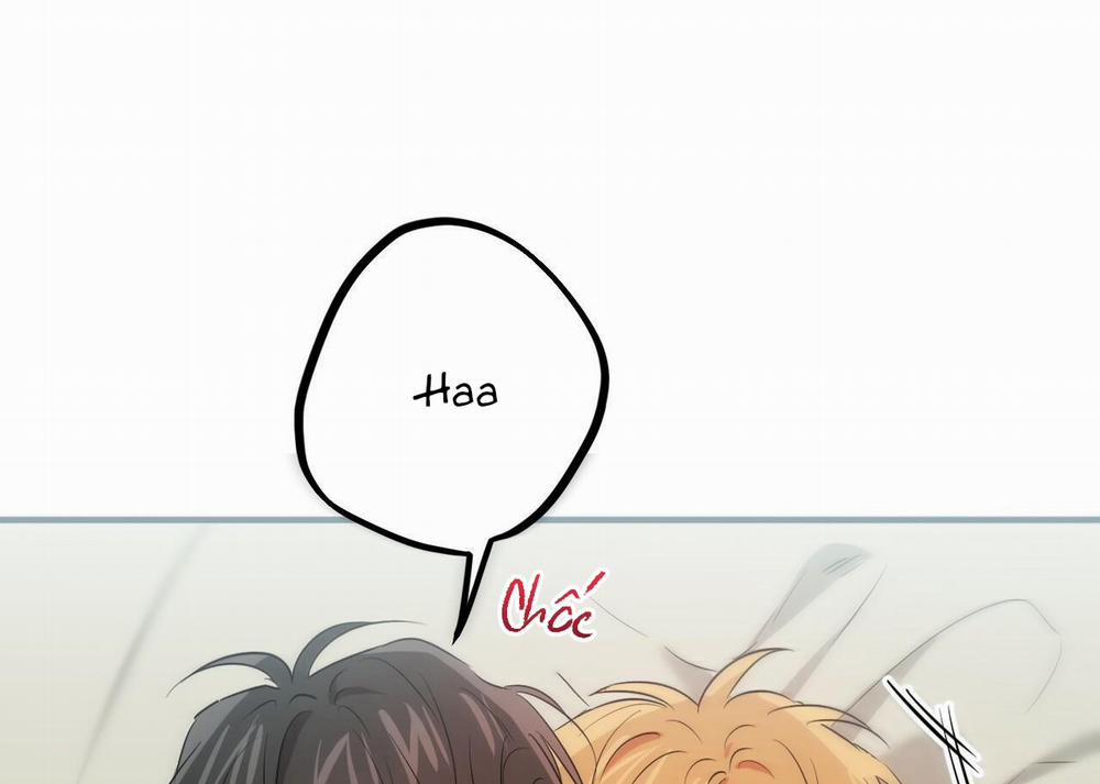 Đàn Thỏ Của Habibi 54 trang 225