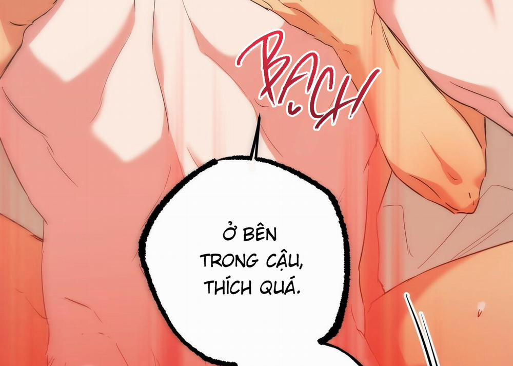 Đàn Thỏ Của Habibi 54 trang 227