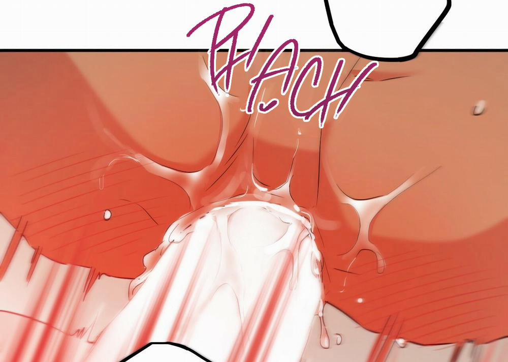 Đàn Thỏ Của Habibi 54 trang 230