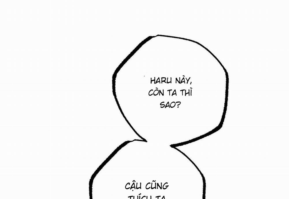 Đàn Thỏ Của Habibi 54 trang 233