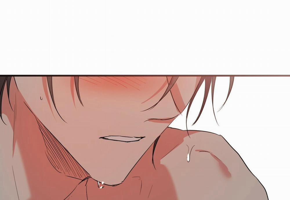 Đàn Thỏ Của Habibi 54 trang 239