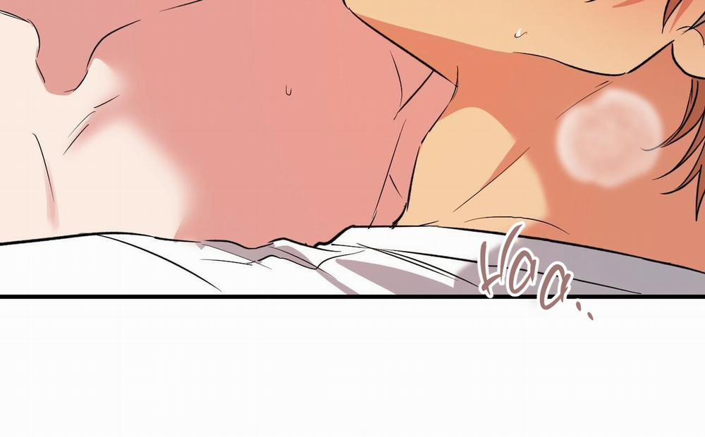 Đàn Thỏ Của Habibi 54 trang 24