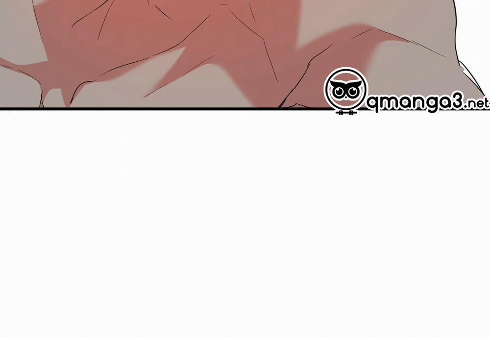 Đàn Thỏ Của Habibi 54 trang 240