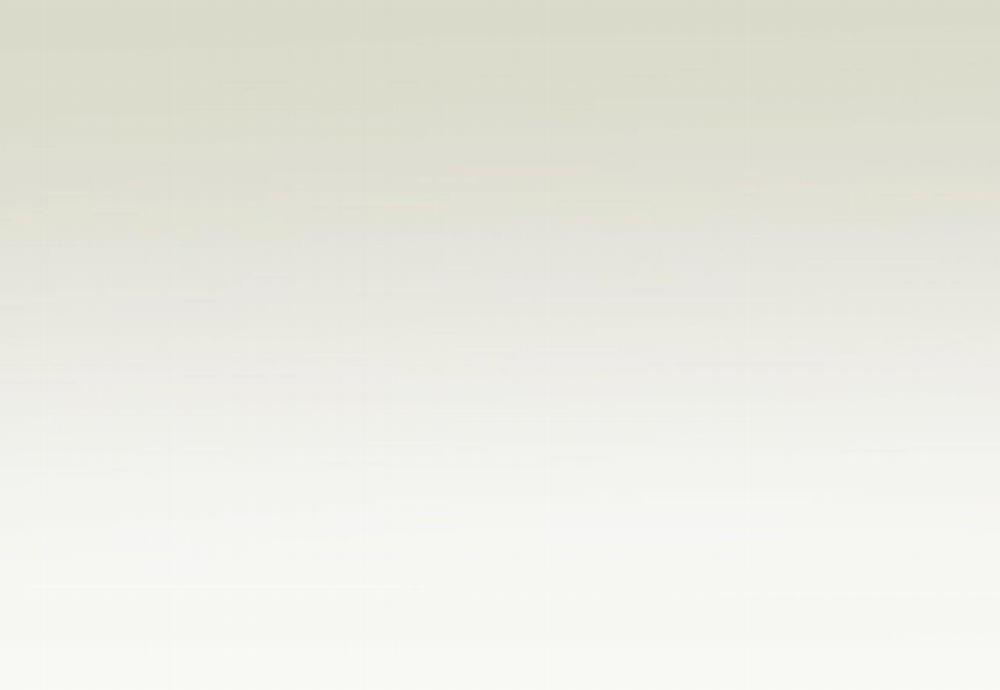 Đàn Thỏ Của Habibi 54 trang 260