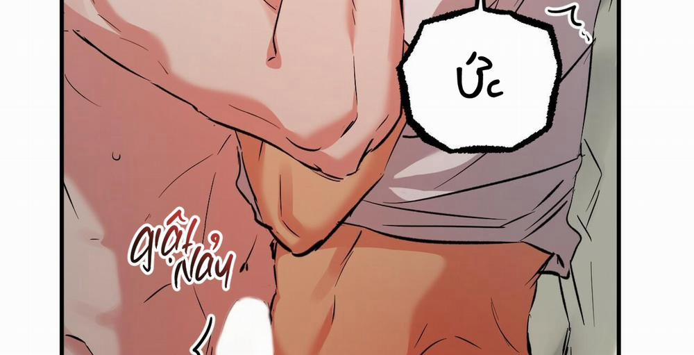 Đàn Thỏ Của Habibi 54 trang 32