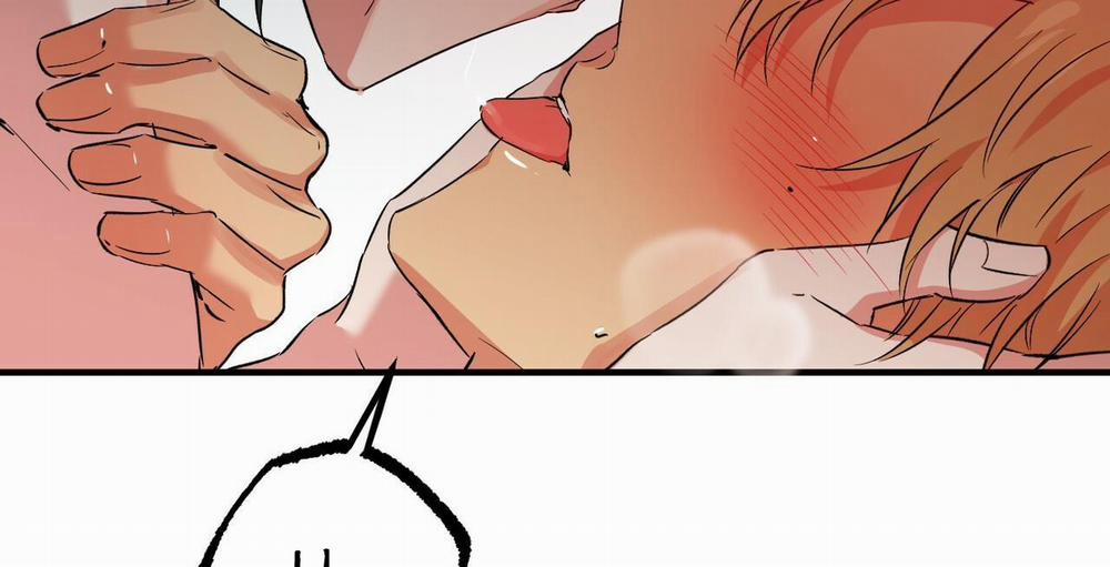 Đàn Thỏ Của Habibi 54 trang 42