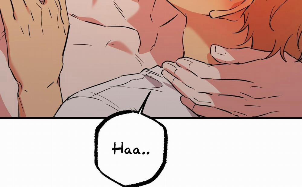 Đàn Thỏ Của Habibi 54 trang 5