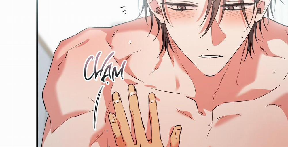 Đàn Thỏ Của Habibi 54 trang 50