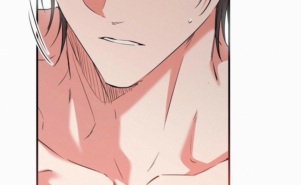 Đàn Thỏ Của Habibi 54 trang 66