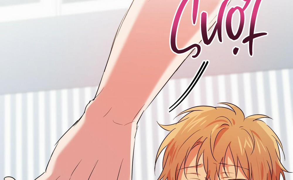 Đàn Thỏ Của Habibi 54 trang 70