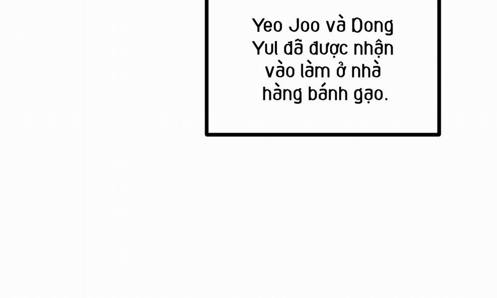 Đàn Thỏ Của Habibi 55 trang 12