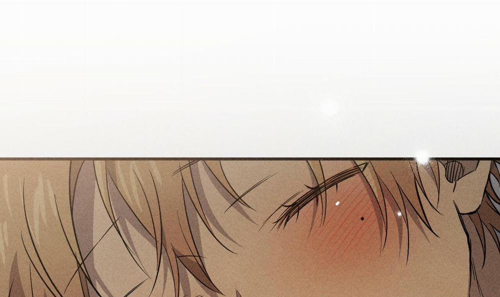 Đàn Thỏ Của Habibi 55 trang 155