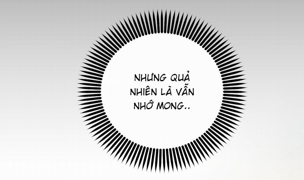 Đàn Thỏ Của Habibi 55 trang 169