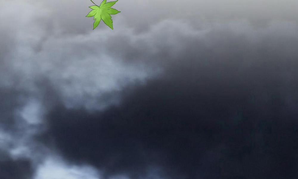 Đàn Thỏ Của Habibi 55 trang 18