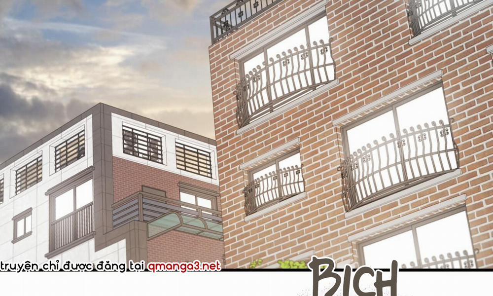 Đàn Thỏ Của Habibi 55 trang 195