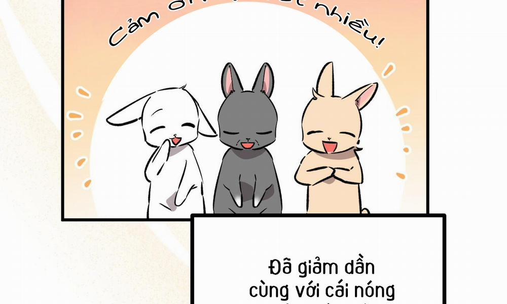 Đàn Thỏ Của Habibi 55 trang 2