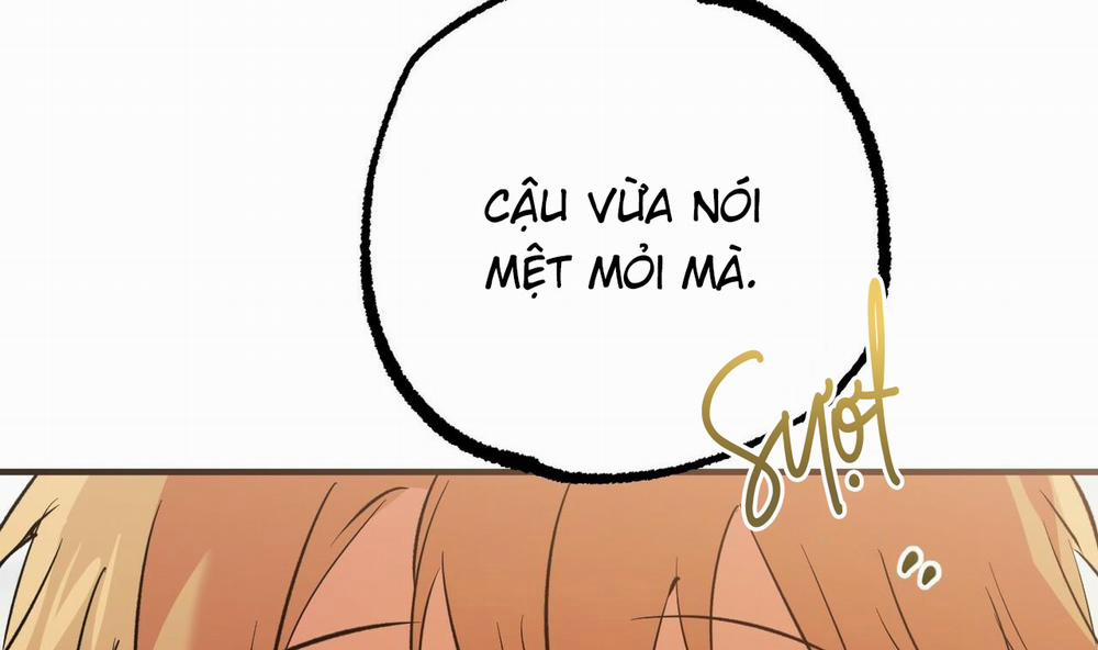 Đàn Thỏ Của Habibi 55 trang 247