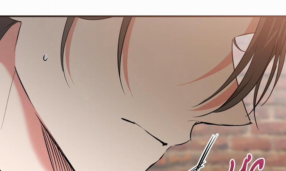 Đàn Thỏ Của Habibi 55 trang 270