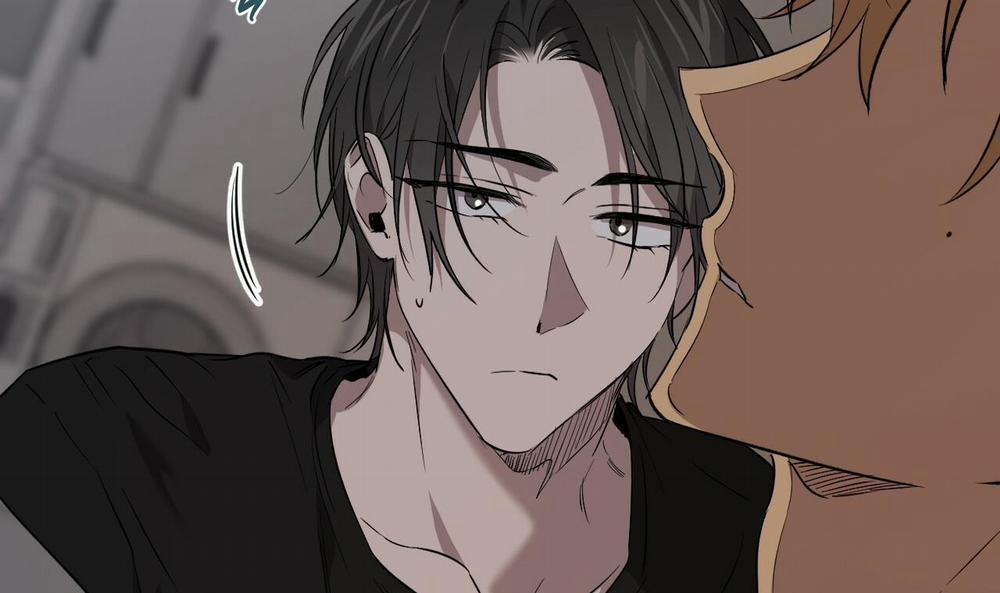 Đàn Thỏ Của Habibi 55 trang 40