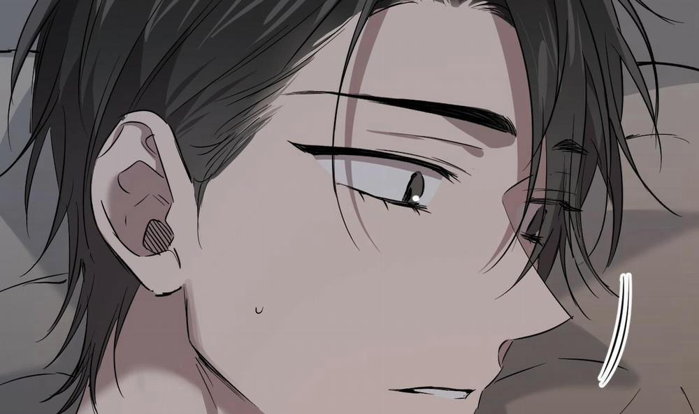 Đàn Thỏ Của Habibi 55 trang 55