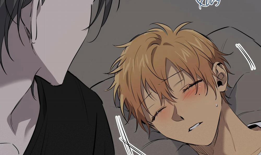 Đàn Thỏ Của Habibi 55 trang 62