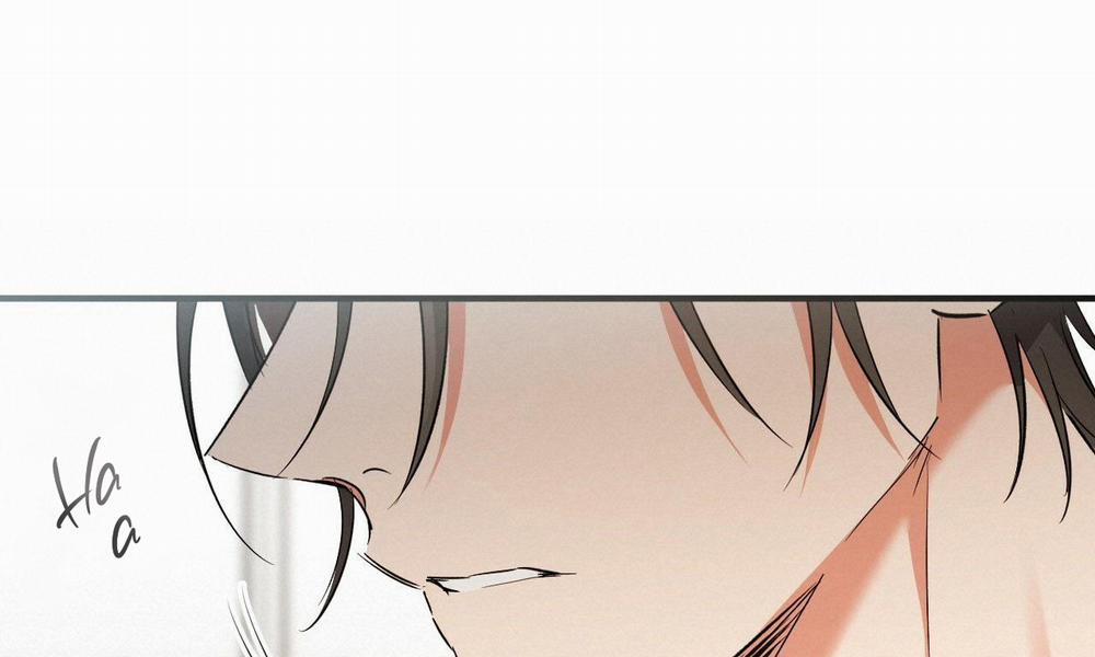 Đàn Thỏ Của Habibi 55 trang 94