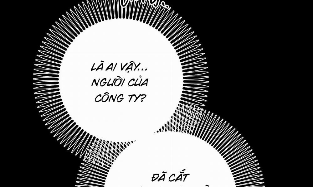 Đàn Thỏ Của Habibi 56 trang 12