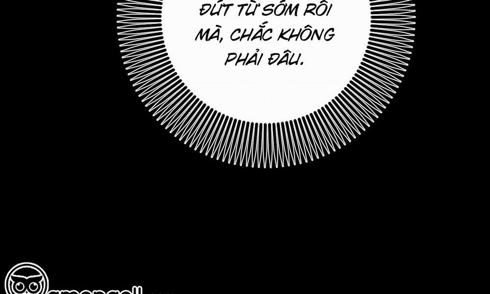 Đàn Thỏ Của Habibi 56 trang 13