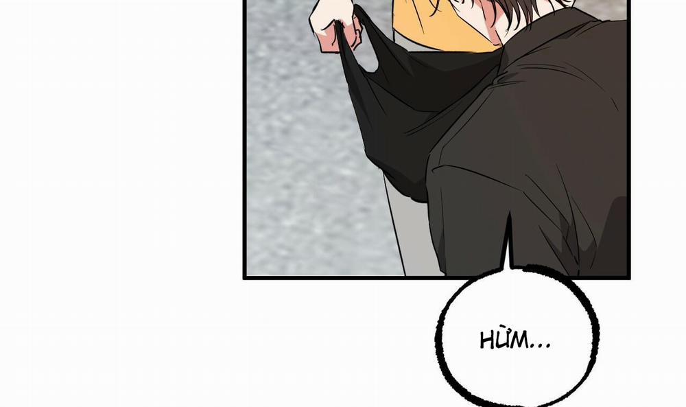 Đàn Thỏ Của Habibi 56 trang 136