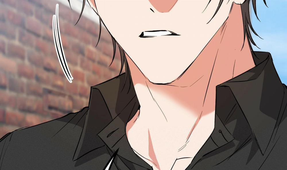 Đàn Thỏ Của Habibi 56 trang 157