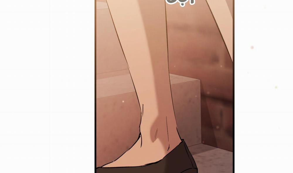 Đàn Thỏ Của Habibi 56 trang 212