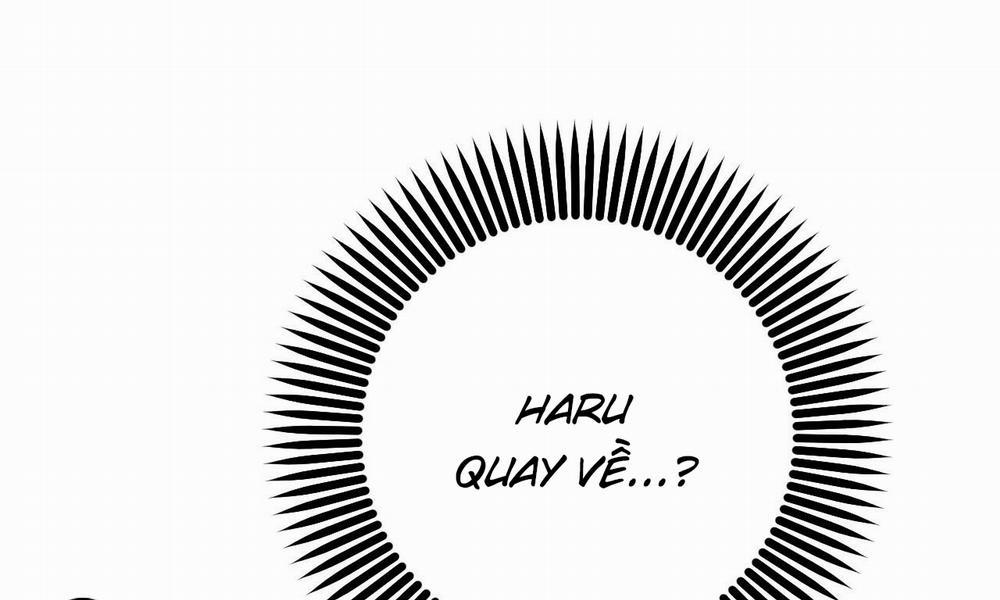 Đàn Thỏ Của Habibi 56 trang 22