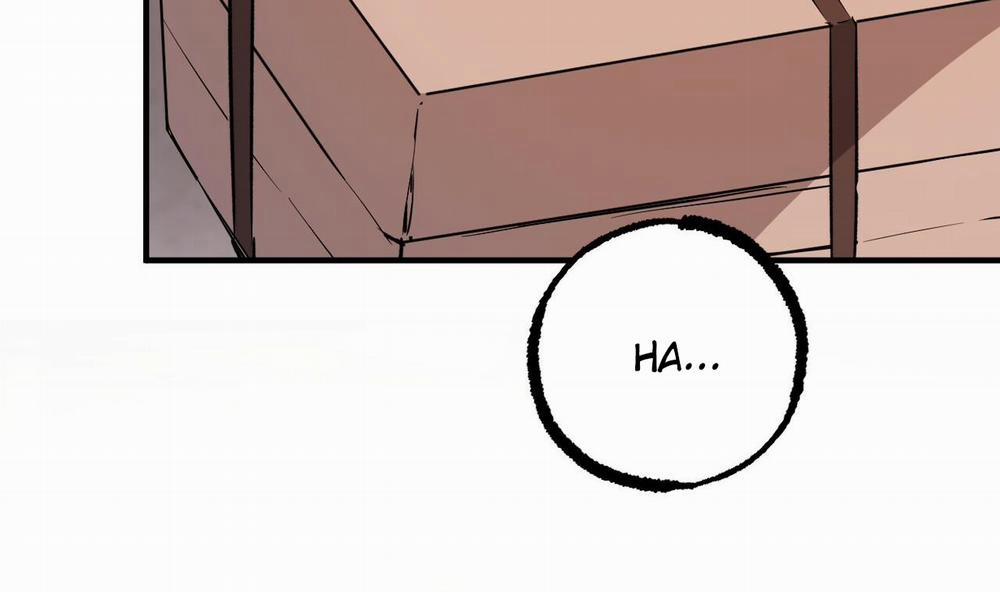 Đàn Thỏ Của Habibi 56 trang 224