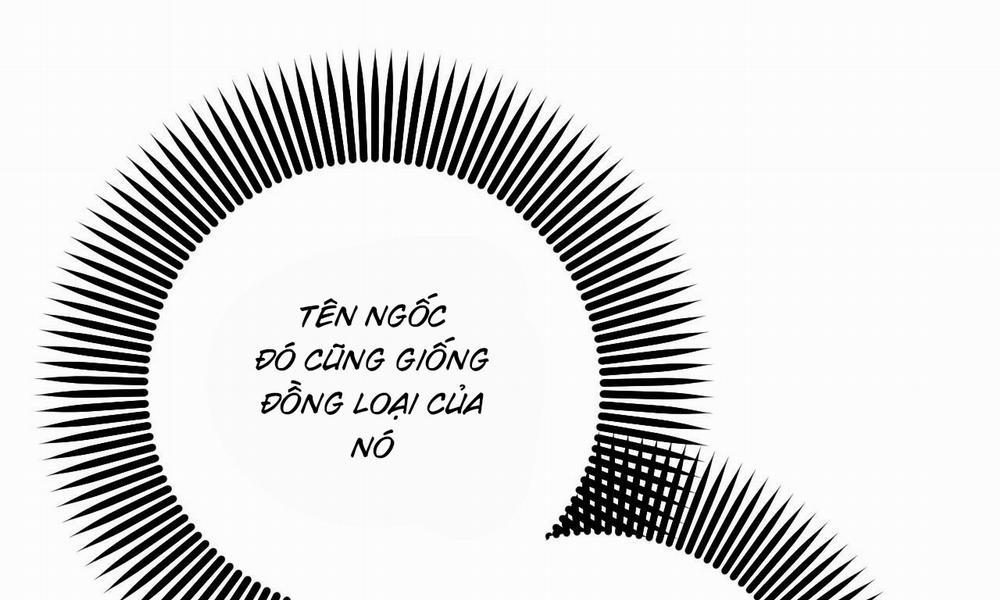 Đàn Thỏ Của Habibi 56 trang 251