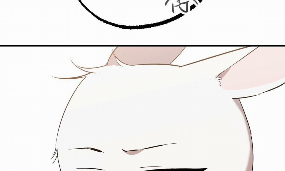 Đàn Thỏ Của Habibi 56 trang 267