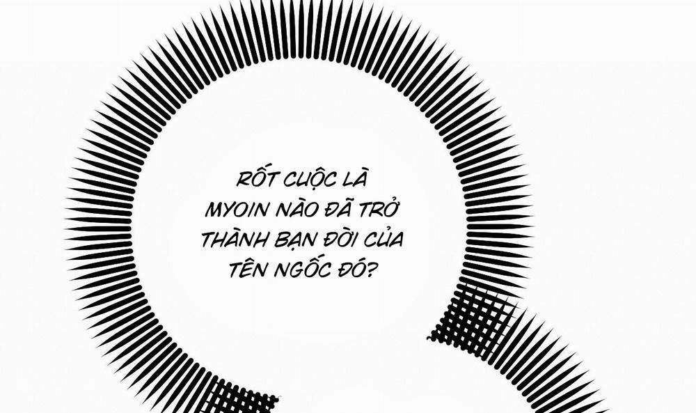 Đàn Thỏ Của Habibi 56 trang 284