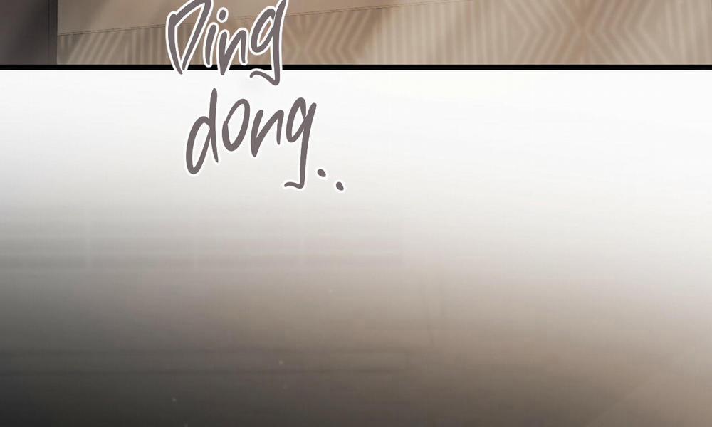 Đàn Thỏ Của Habibi 56 trang 3