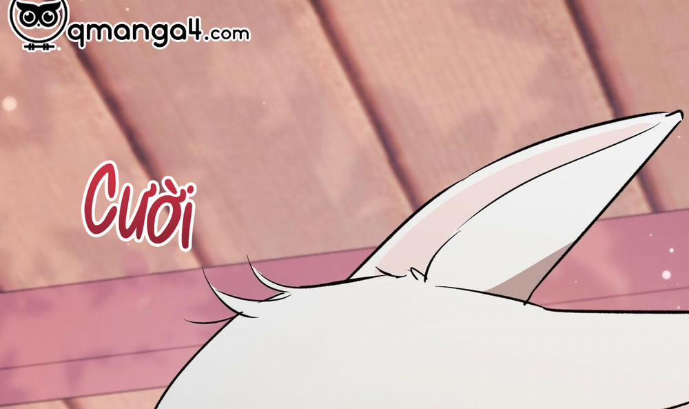 Đàn Thỏ Của Habibi 56 trang 300