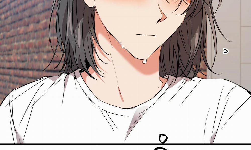 Đàn Thỏ Của Habibi 56 trang 79