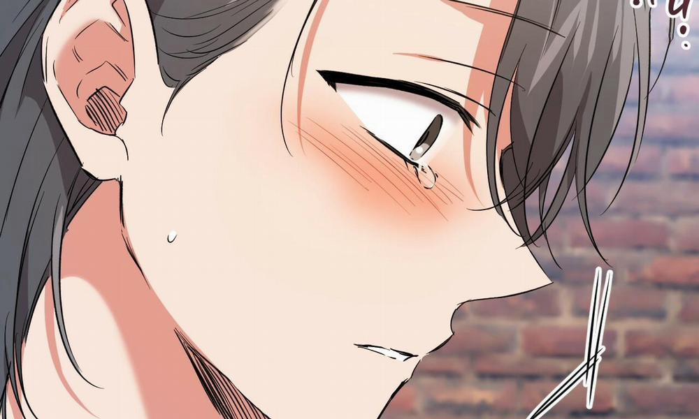 Đàn Thỏ Của Habibi 56 trang 82