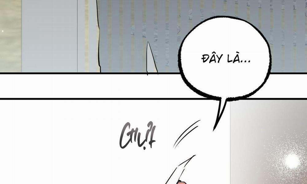 Đàn Thỏ Của Habibi 56 trang 89