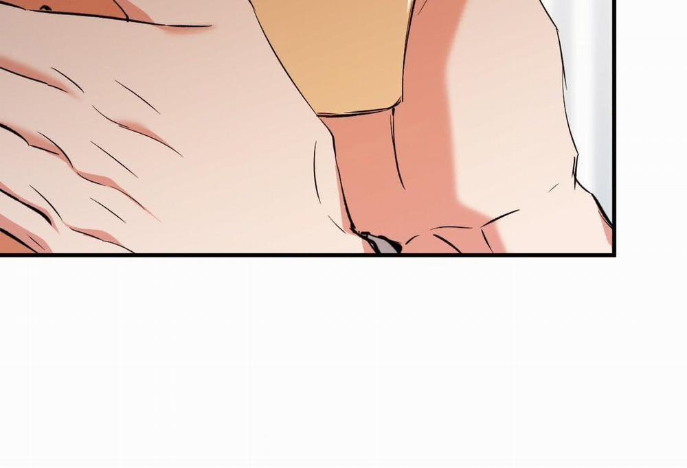 Đàn Thỏ Của Habibi 57 trang 134