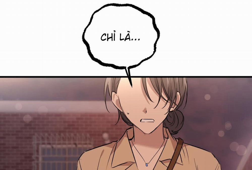 Đàn Thỏ Của Habibi 57 trang 167