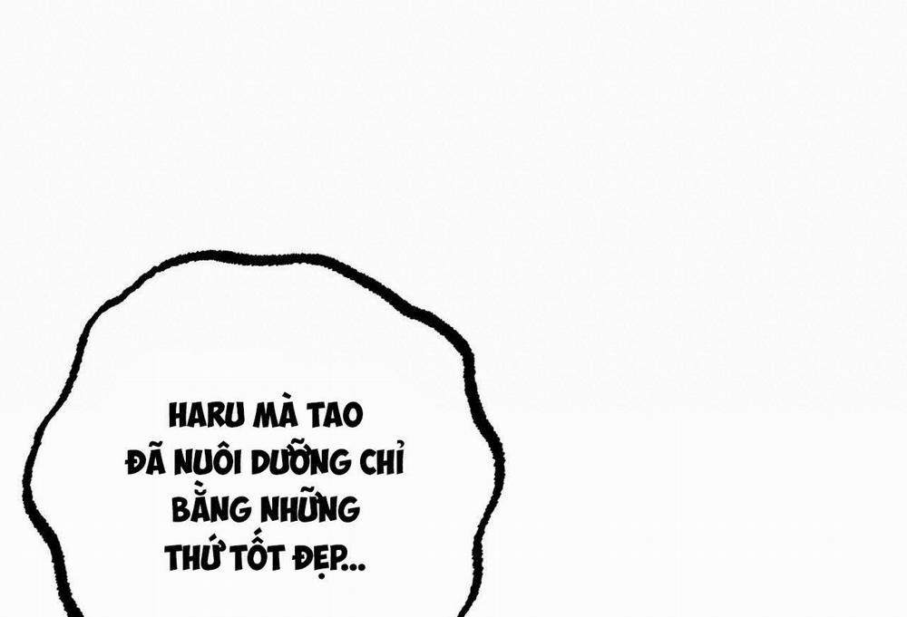 Đàn Thỏ Của Habibi 57 trang 235