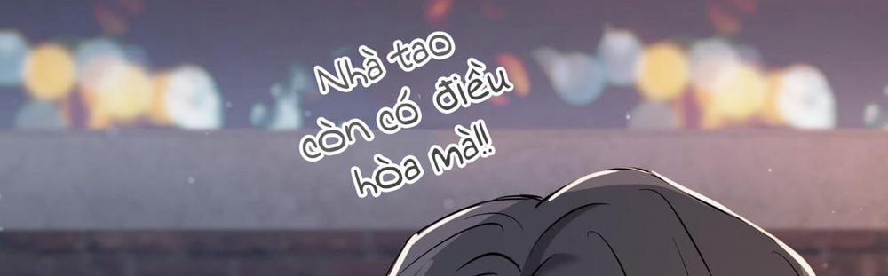 Đàn Thỏ Của Habibi 57 trang 250